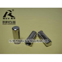 銳科五金 高品質(zhì)不銹鋼鉚螺母與裝飾材料的可靠供應(yīng)商